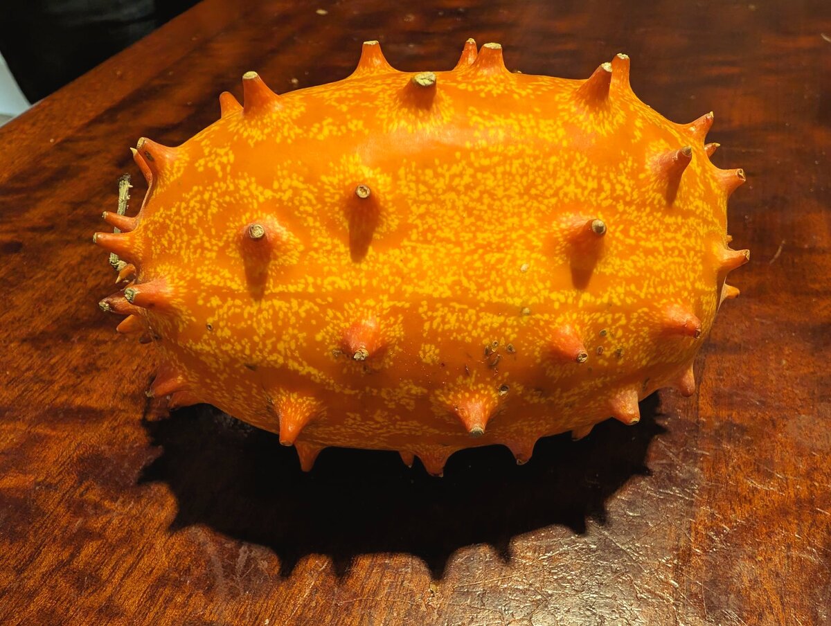 Вы только посмотрите на это чудо.