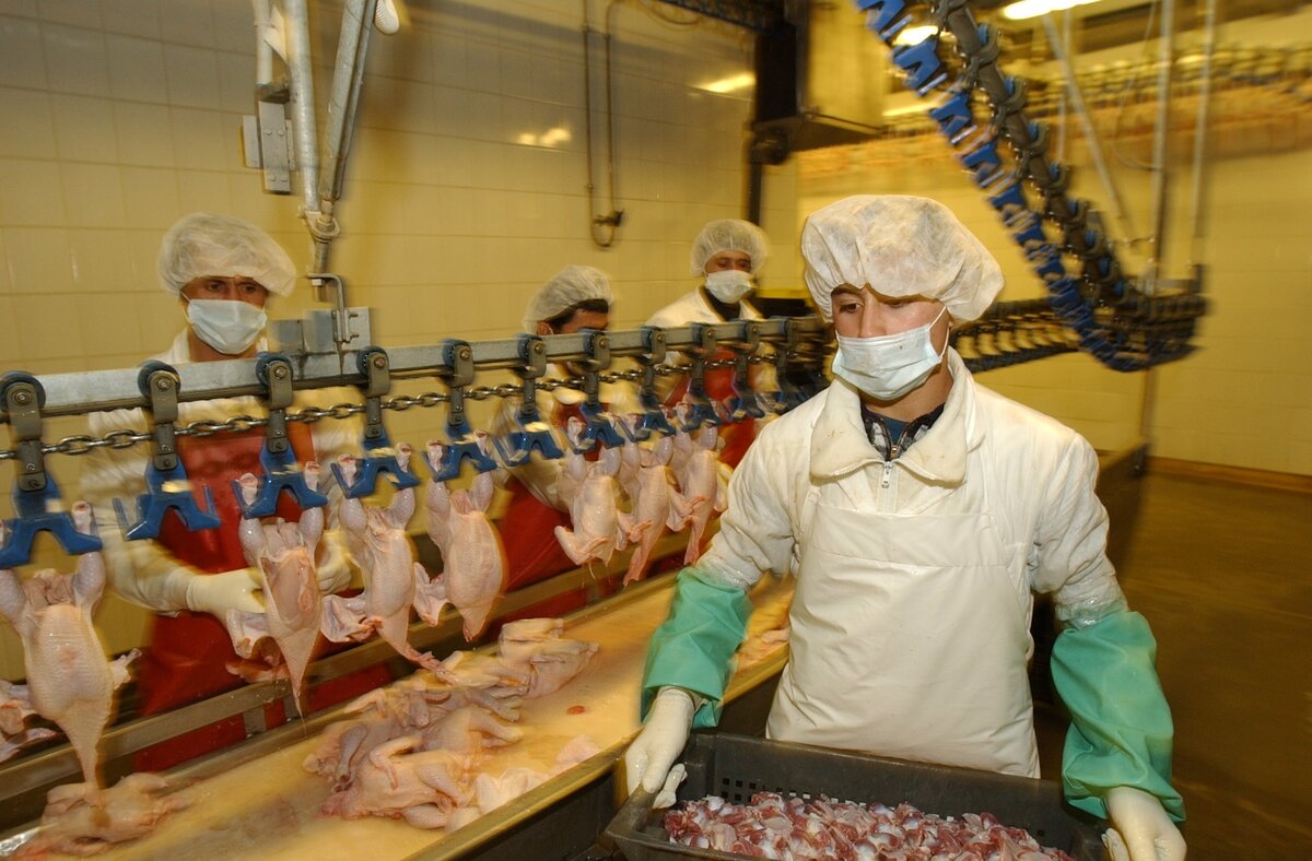 Фото: Aleksandr Schemlyaev/globallookpress.com