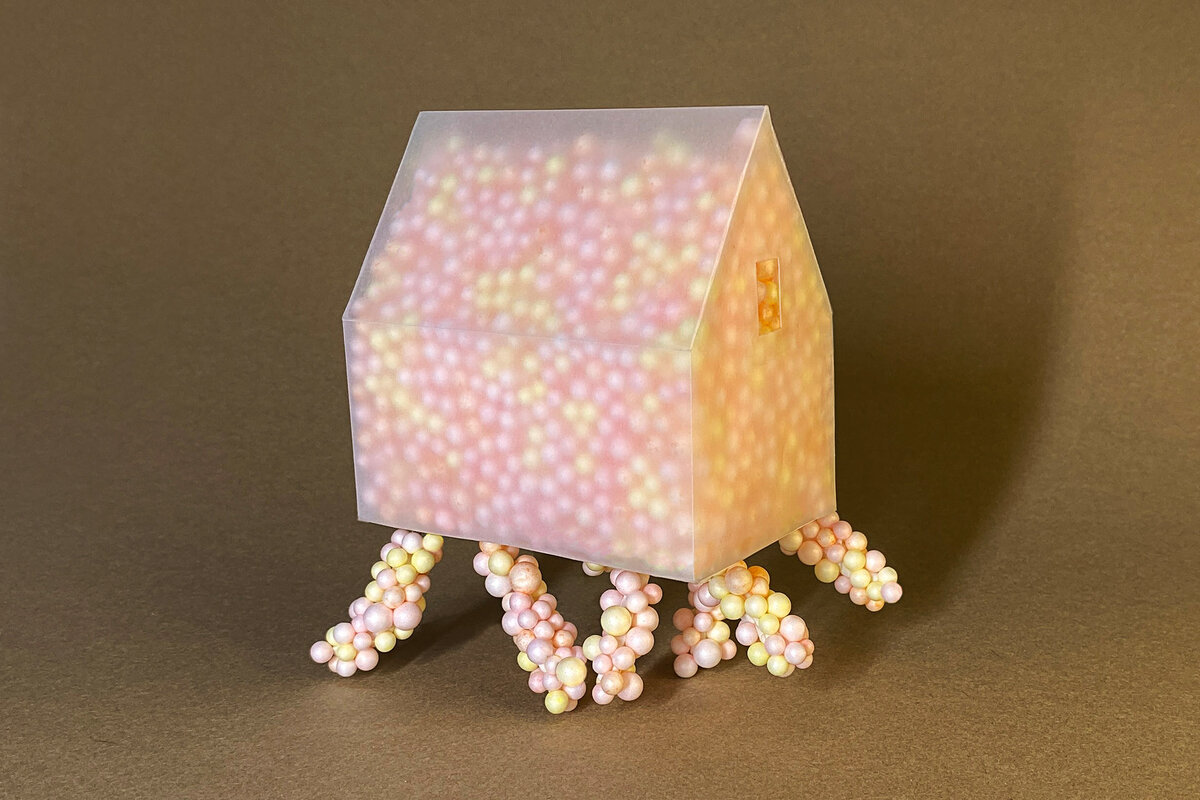 Анна Червонна