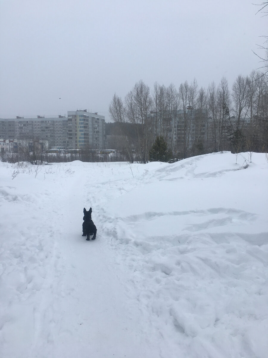 Не хочу уезжать в глушь!