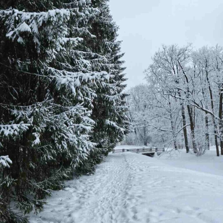 Фото: Маргарита Гриценко 