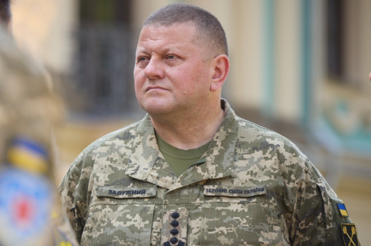    Главком ВСУ Валерий Залужный.