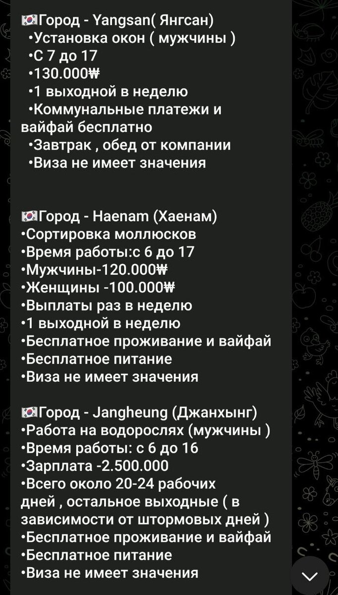 На заработки в Южную Корею | Oyuna ssi все про Южную Корею. Еда, косметика,  отдых. | Дзен