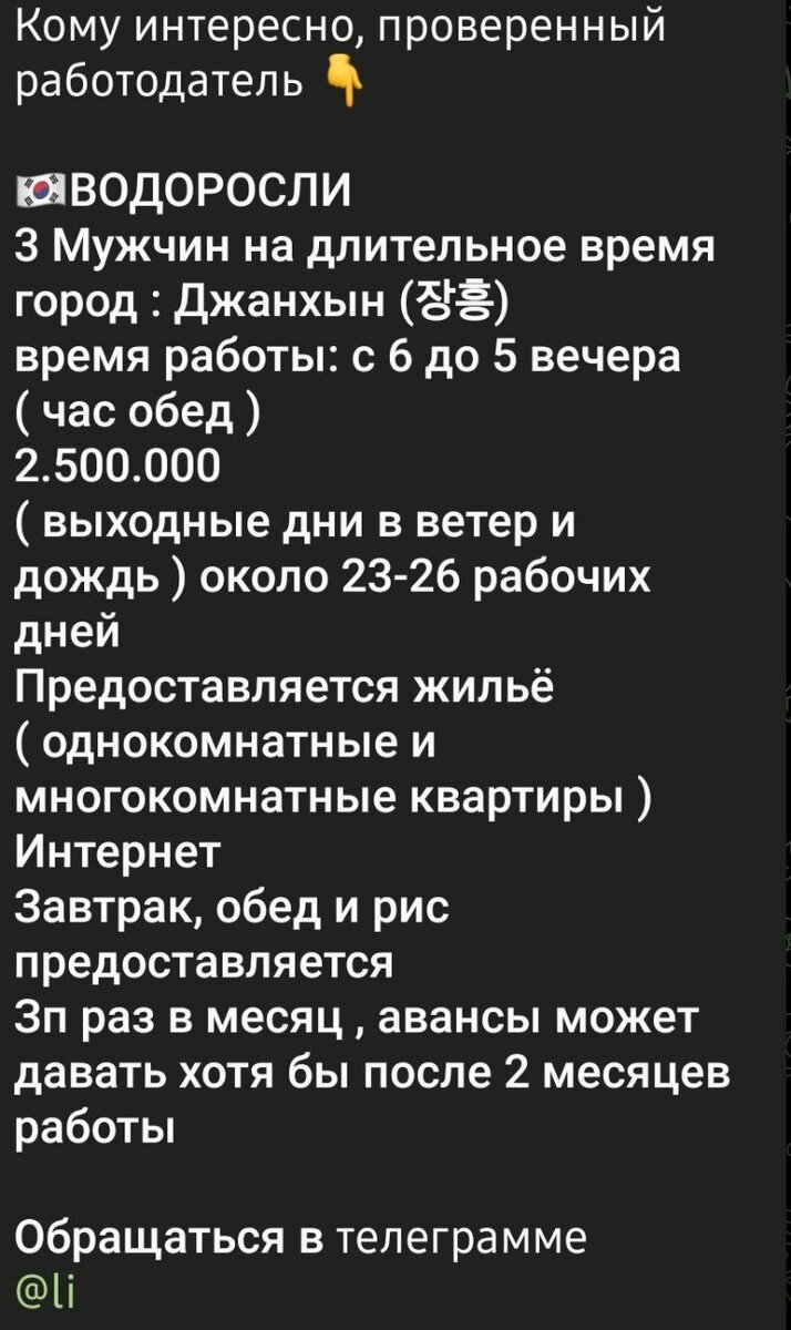 На заработки в Южную Корею | Oyuna ssi все про Южную Корею. Еда, косметика,  отдых. | Дзен