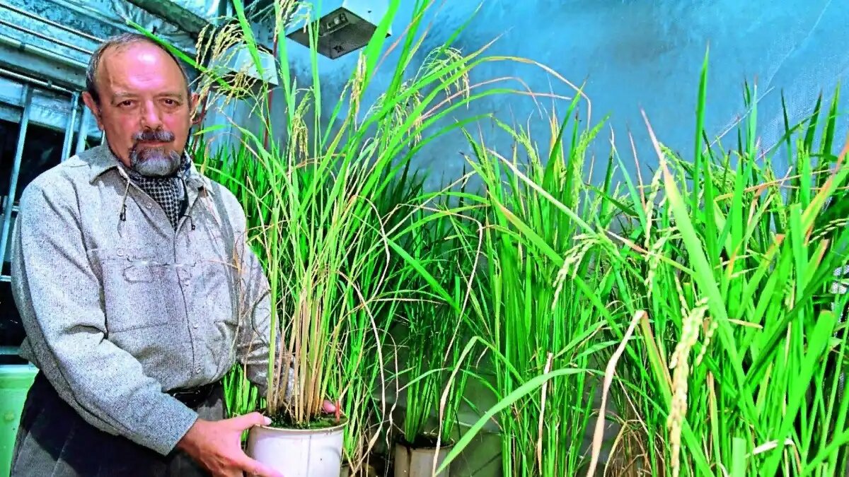 Фото:profil.at Инго Потрикус, почетный профессор Университете растениеводства Швейцарского федерального технологического института ETH Zurich