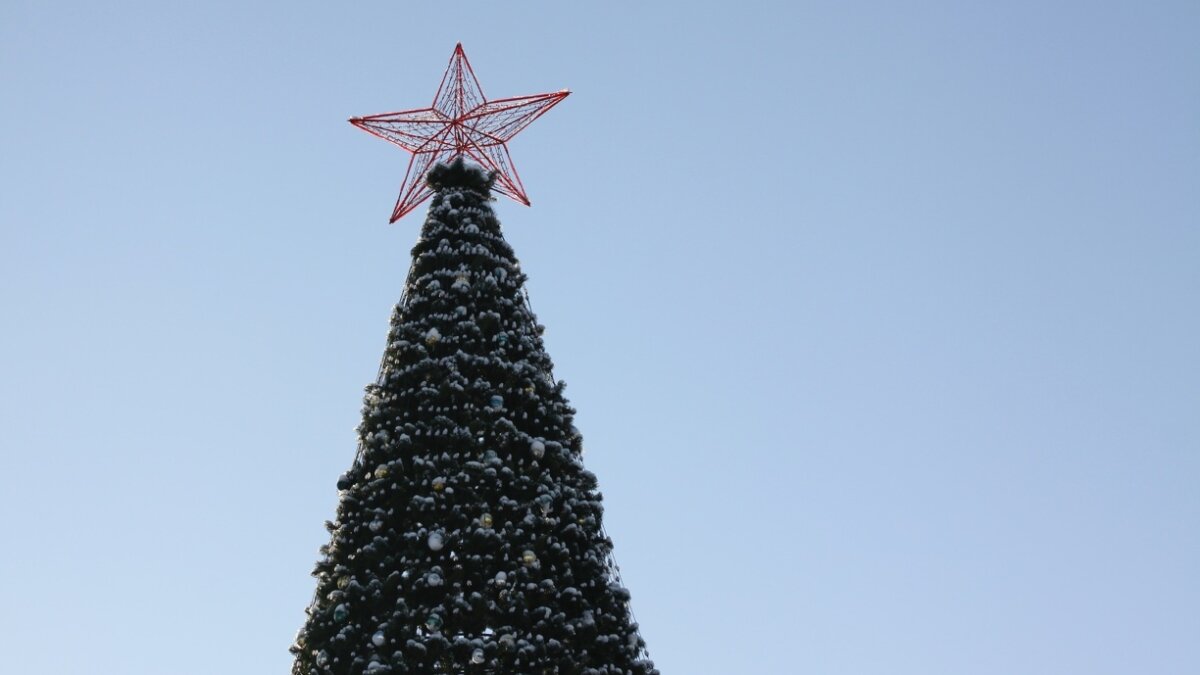 ИА «Тульская пресса»📷
