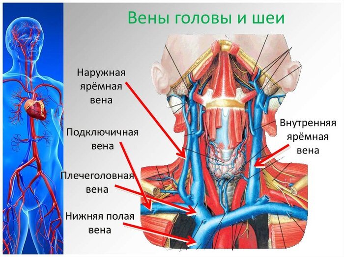 Это еще флирт или уже сексуальные домогательства?