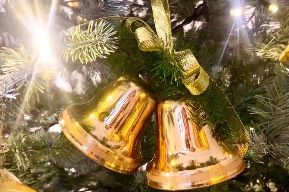    В Севастополе перед Новым годом 2024 пройдут бесплатные детские праздничные мероприятия. Юлия Блоцкая