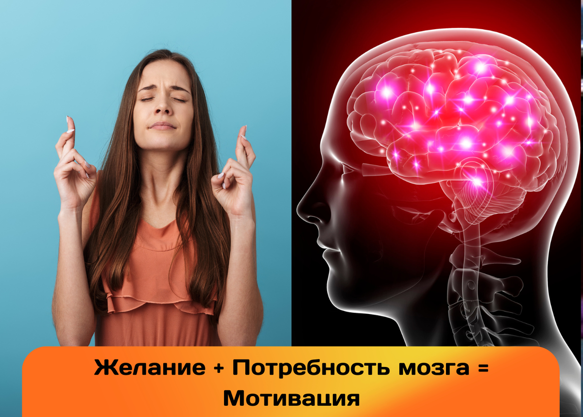 Желание + Потребность мозга = Мотивация | Про Тайм-менеджмент | Дзен