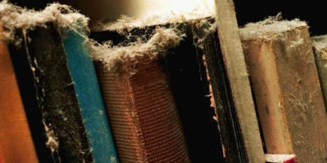 фотография взята из открытых источников