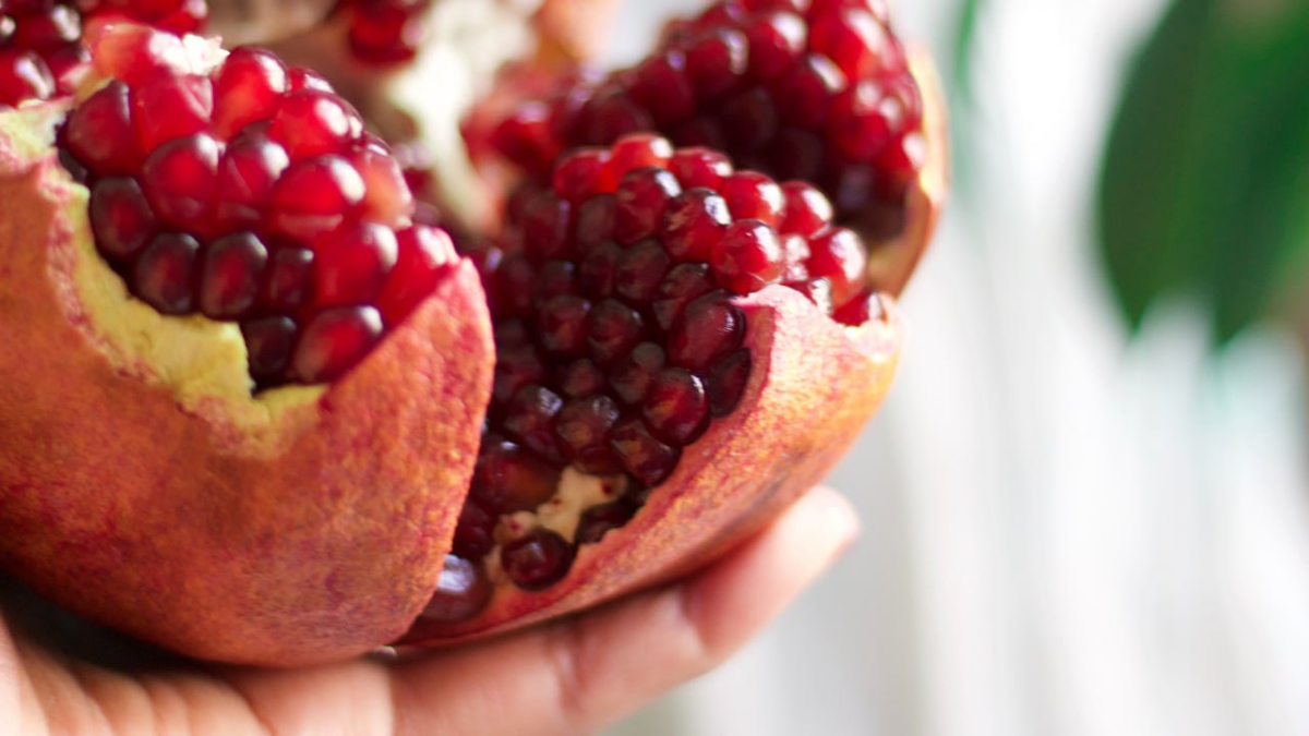 Фото: Arielle Allouche/Unsplash