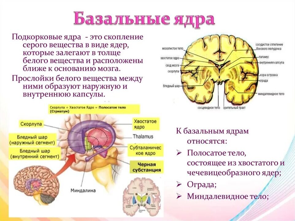 Упражнение зависимость. Упражнение зависимость