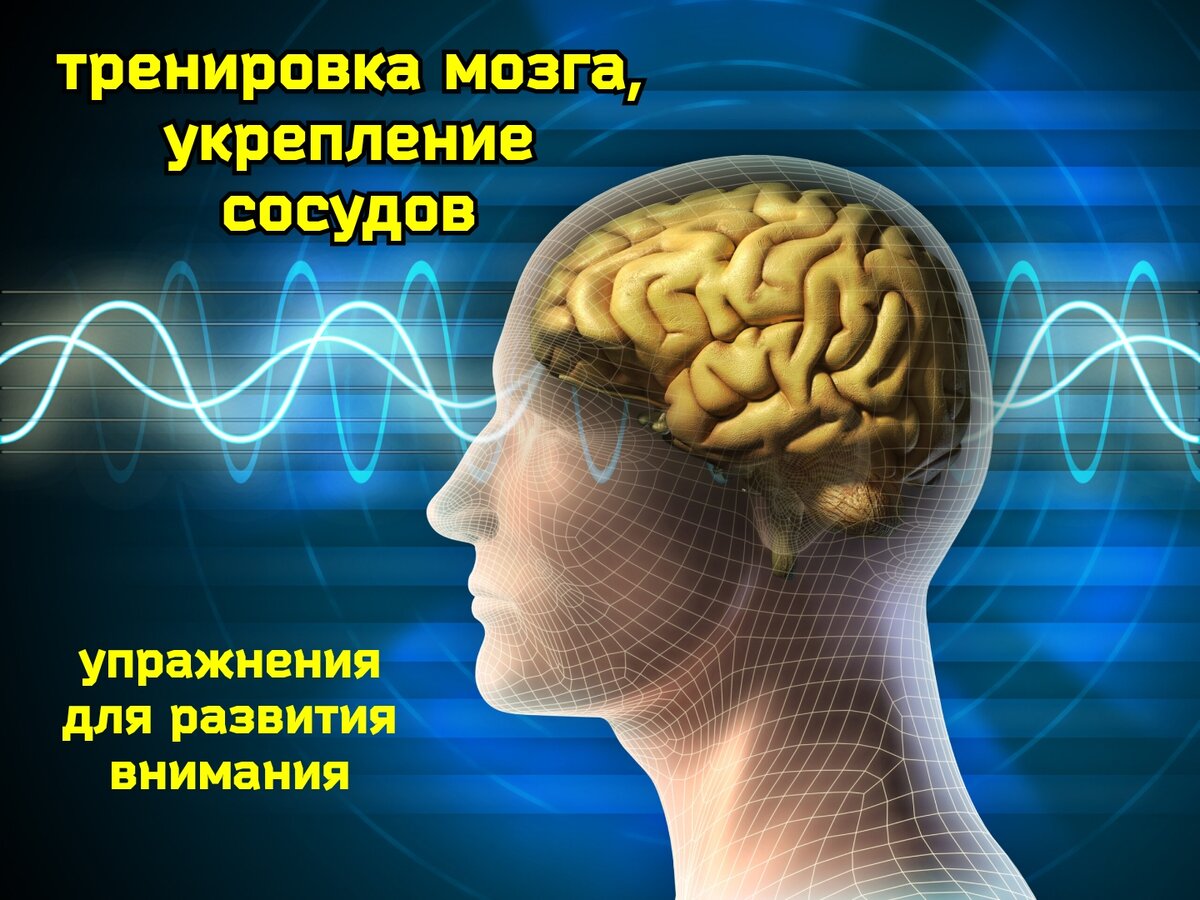 Тренировка мозга человека