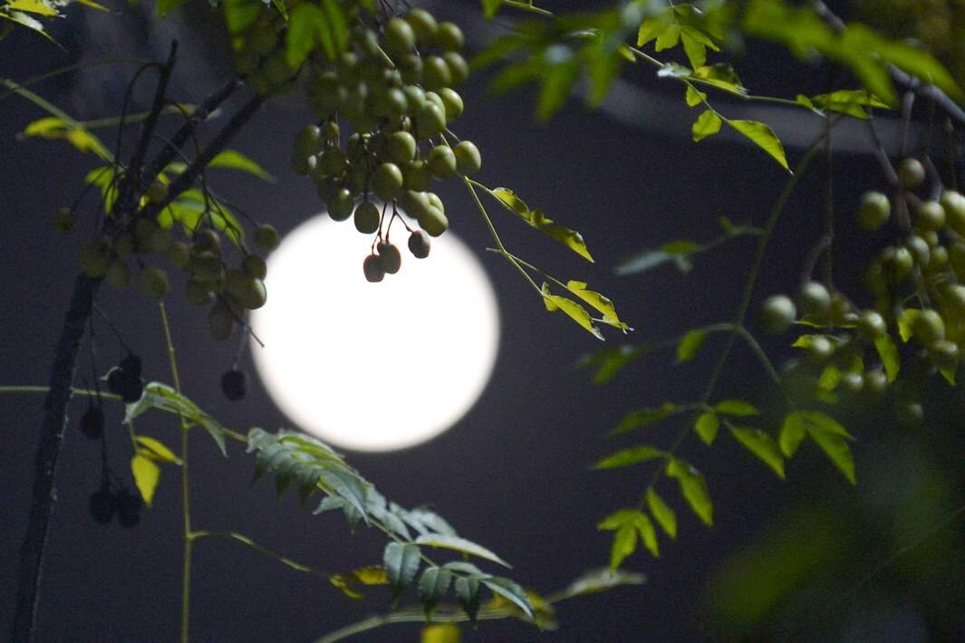 Лунные сутки сегодня 2024 сентябрь. Луна 23 сентября 2022. Лунные сутки в сентябре 2024. Лунные сутки сегодня 2024 сентябрь. Календарь удачных дней.