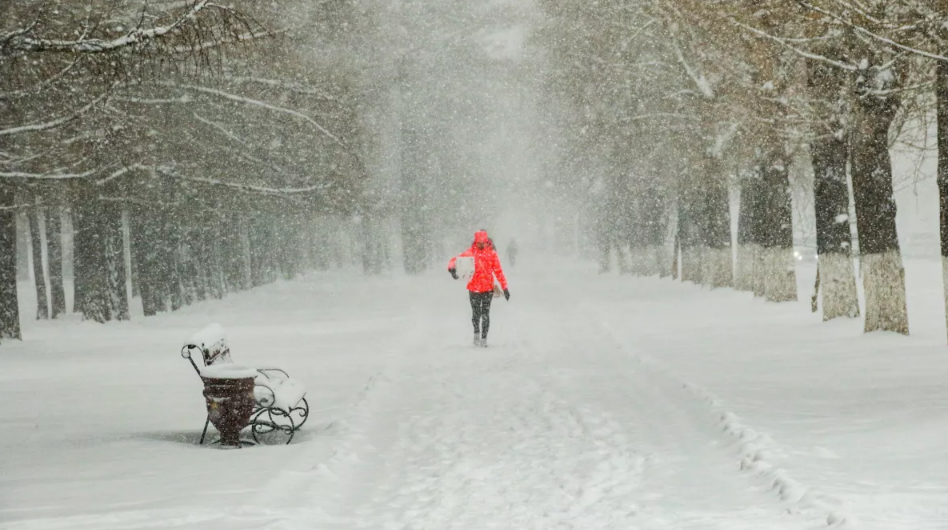 Фото: Виталий Барабаш