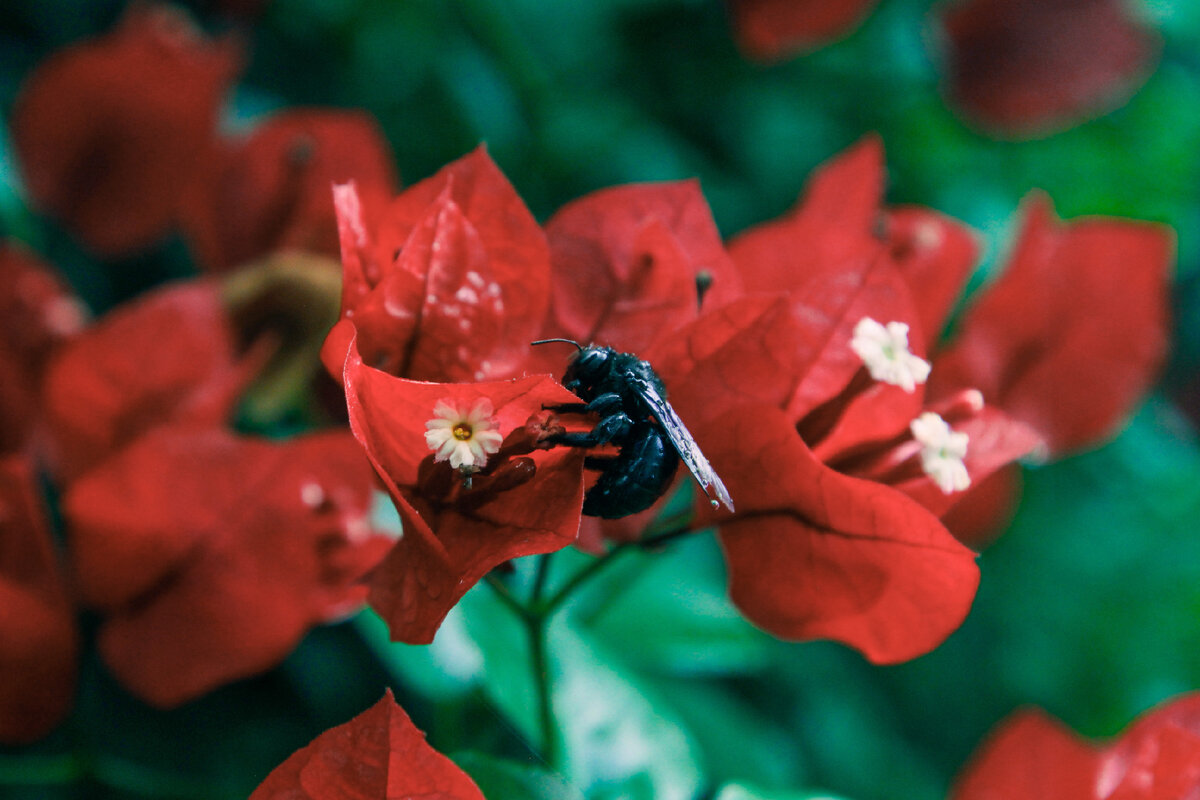 Картинка с бесплатного фотостока https://unsplash.com, автор Emmanuel Wambugu