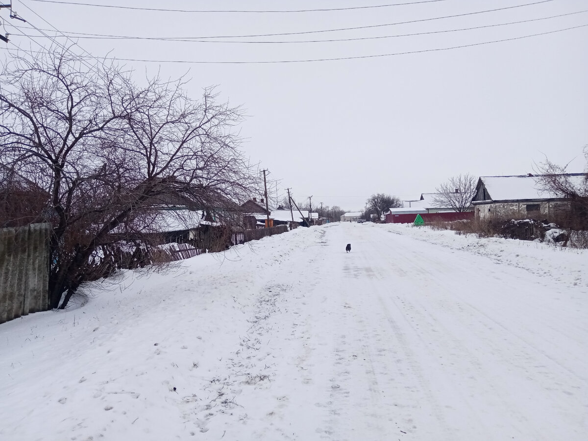 Дедовщина Отмучился | Живу по-деревенски | Дзен