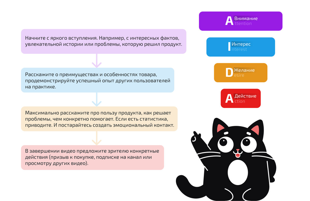 Инструкция: как правильно снимать видеообзор для конверсии на сайте | QForm  | Конструктор веб-форм и квизов | Дзен