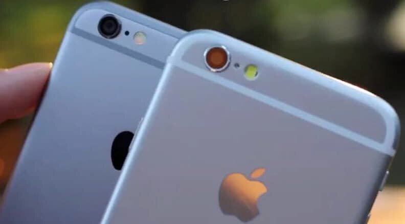 Различия во внешнем виде очевидны, если присмотреться