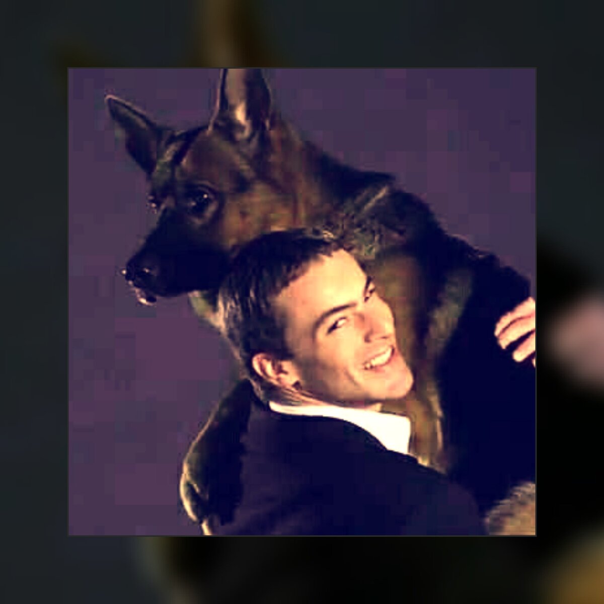 История создания сериала "Комиссар Рекс"