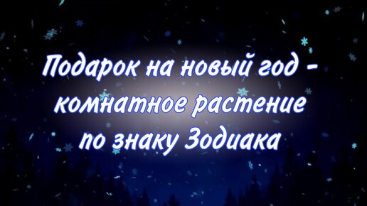 Подарок на новый год. Какие комнатные растения можно подарить по знаку Зодиака