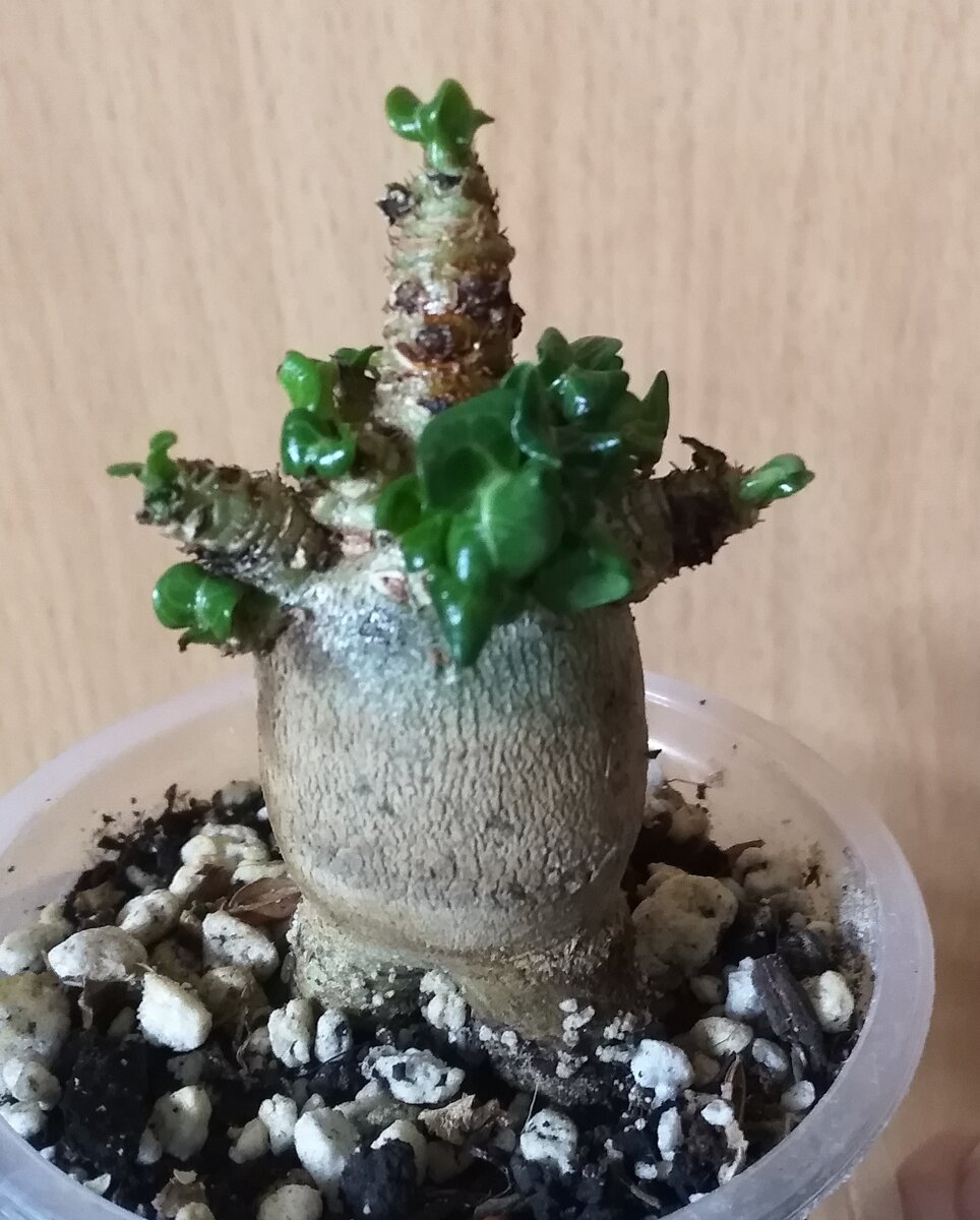 Вполне доволен 