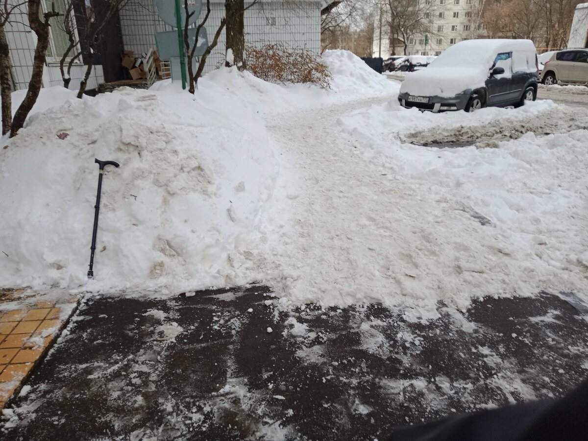 Трость у сугроба - моя.