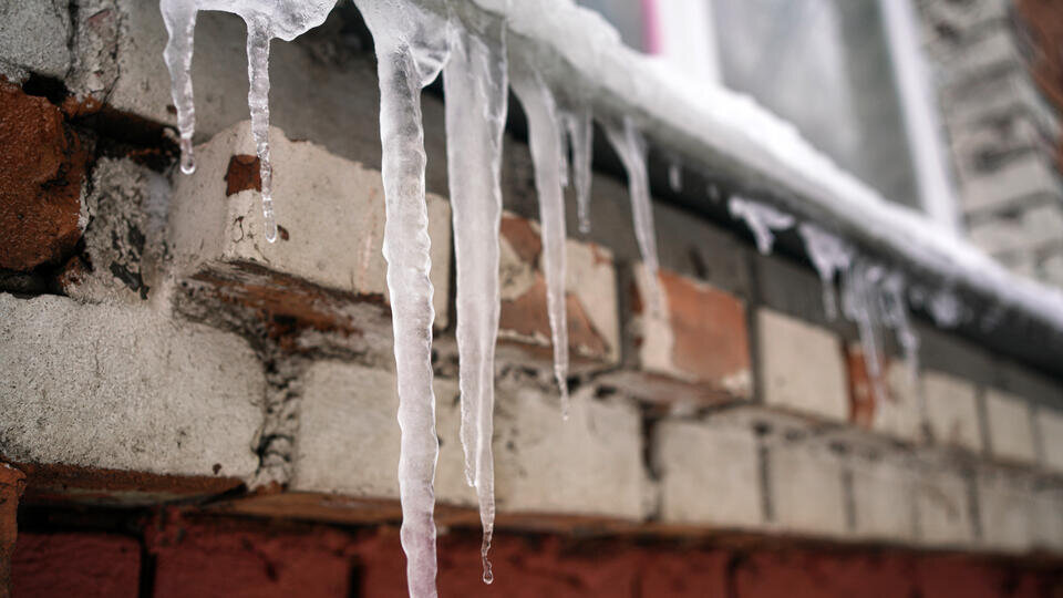 Фото: © Известия/Анна Селина