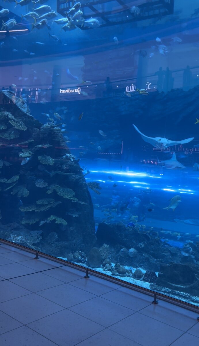 Вот так выглядит вход) такой вид можно получить , только если пробраться к самому краю ограждению 