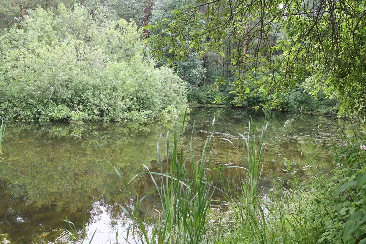    Озерко Карасики. stalker