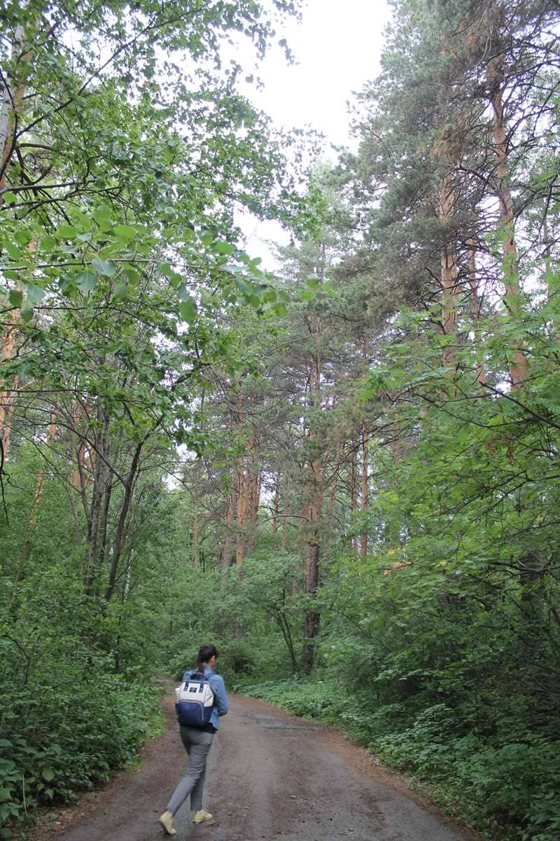    Тропа здоровья. stalker