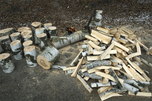    Как получить разрешение на заготовку дров для собственных нужд?