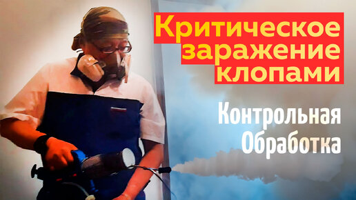 Идем смотреть на результат через 22 дня после проведенной обработки от клопов в Балашихе с критическим заражением всей квартиры