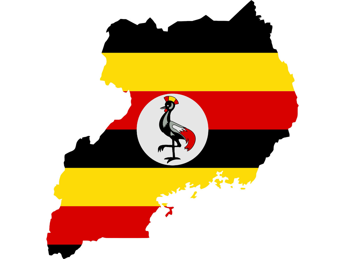 ФОТО: FLAGMO/IMAGEBROKER.COM 