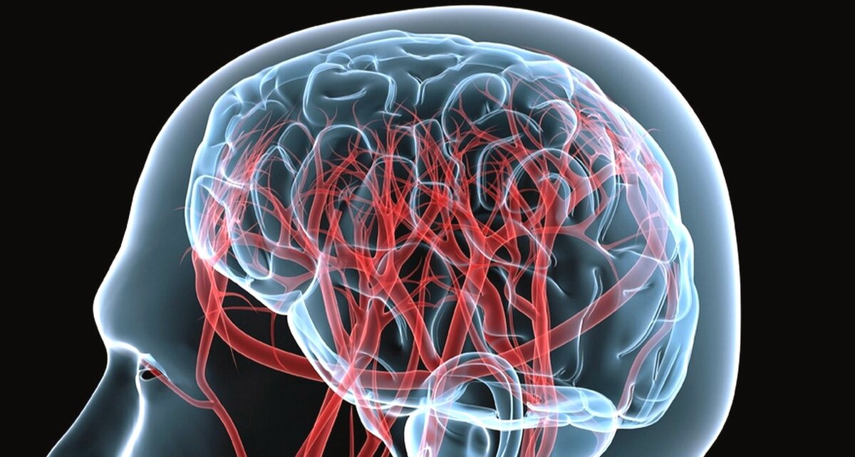 Заботу о здоровье своего мозга лучше начинать как можно раньше