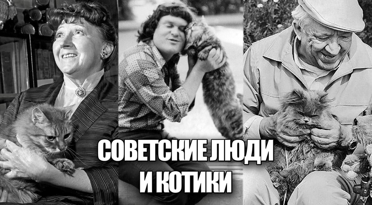 Попробуем вспомнить - как известные советские люди, тоже выбирали кошек.