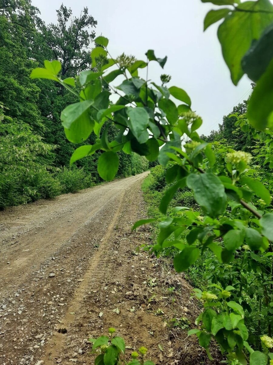 Просто кусочек трассы