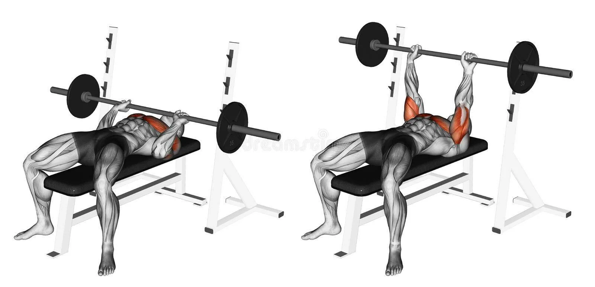 Источник фотографии: Яндекс картинки 
