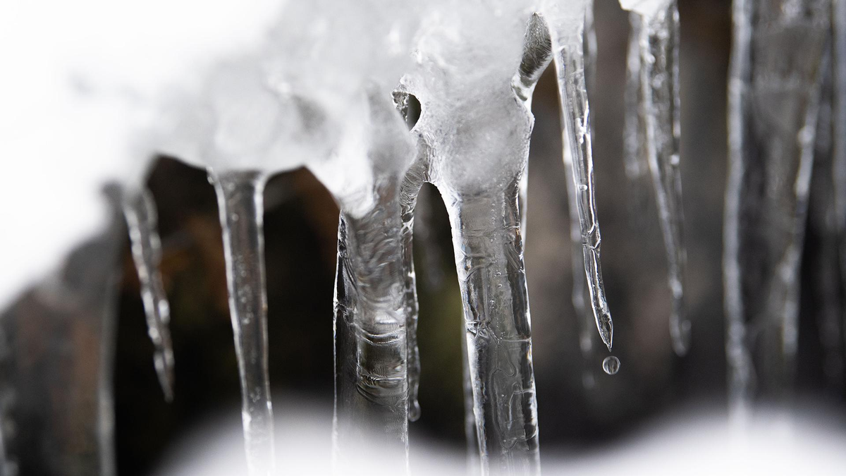 Фото: Lino Mirgeler/globallookpress.com