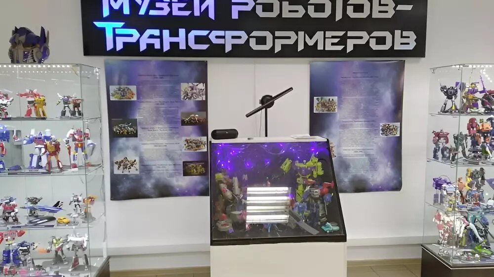     Чтобы выкупить роботов, их собственник обязан заплатить 300 тысяч рублей.