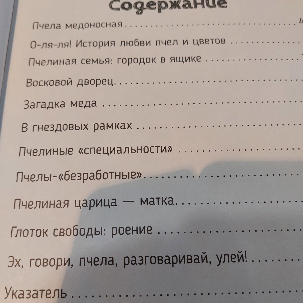 Из жизни пчел и...из нашей жизни тоже | Дом, сад, телескоп, Алтай | Дзен