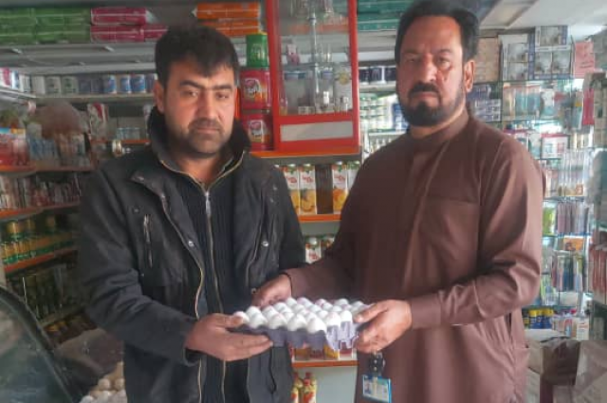    Татары Афганистана готовы экспортировать куриные яйца в Татарстан