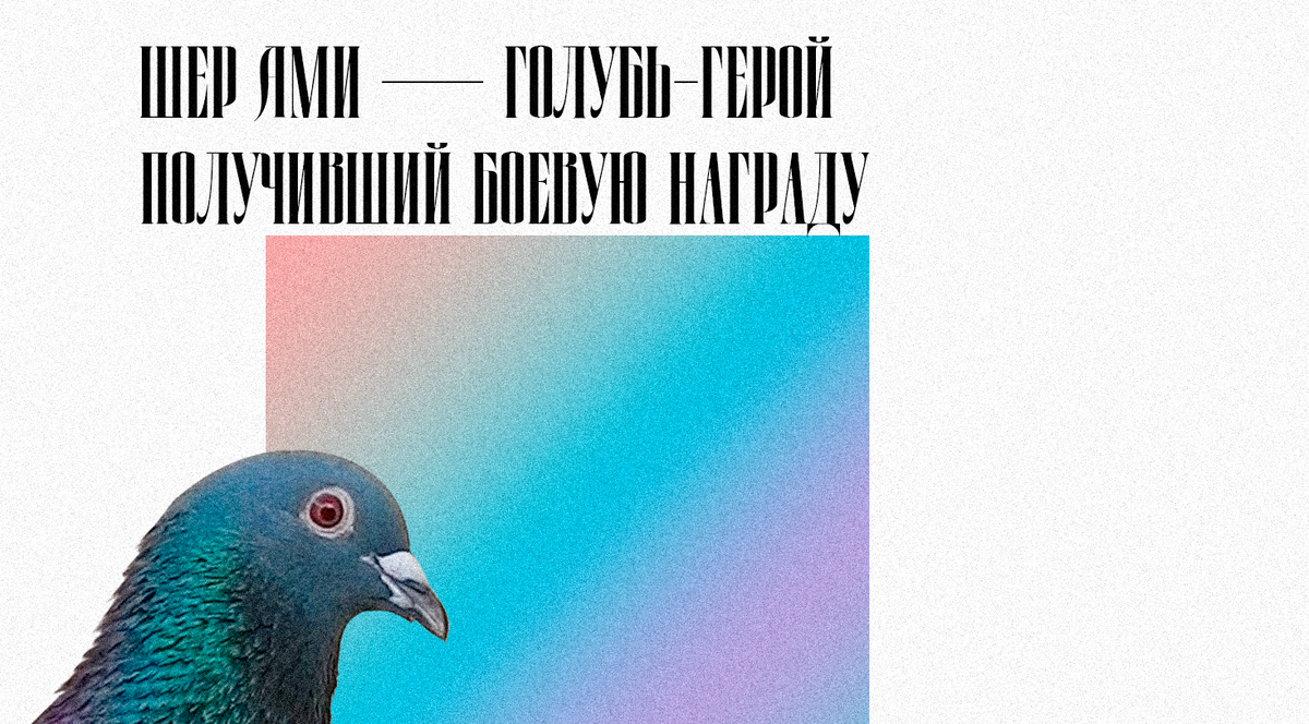 Градиент - самое интересное здесь.
