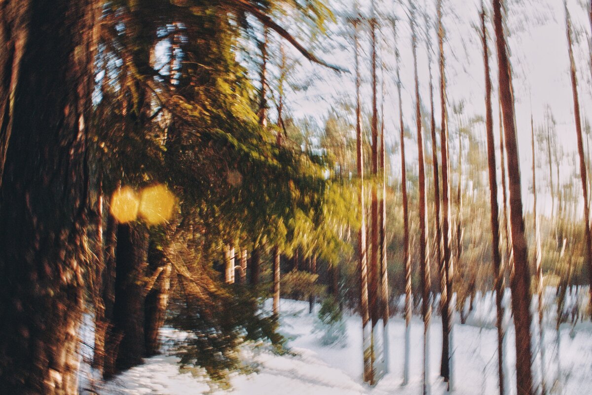 Фото с бесплатного фотоистока https://unsplash.com, автор MAD VISUAL