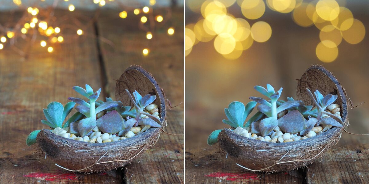    Либо пластиковые нитки с отдельными лампочками, либо крупные красивые круги. Обычно все стремятся ко второму варианту / Фото: Алиса Смирнова, Фотосклад.Эксперт