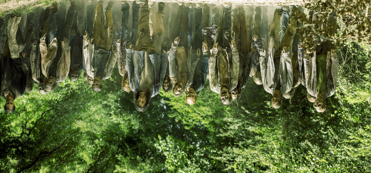 Зомби-антиподы. Когда голова ниже всего остального, но мозг в ней всё еще плохо, но поддерживает подобие жизни... Изображение из сети