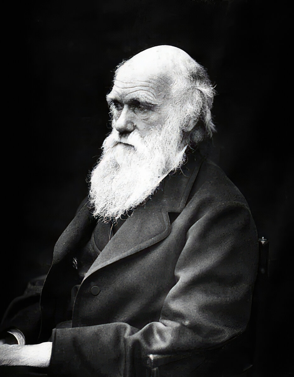 © Wikipedia
