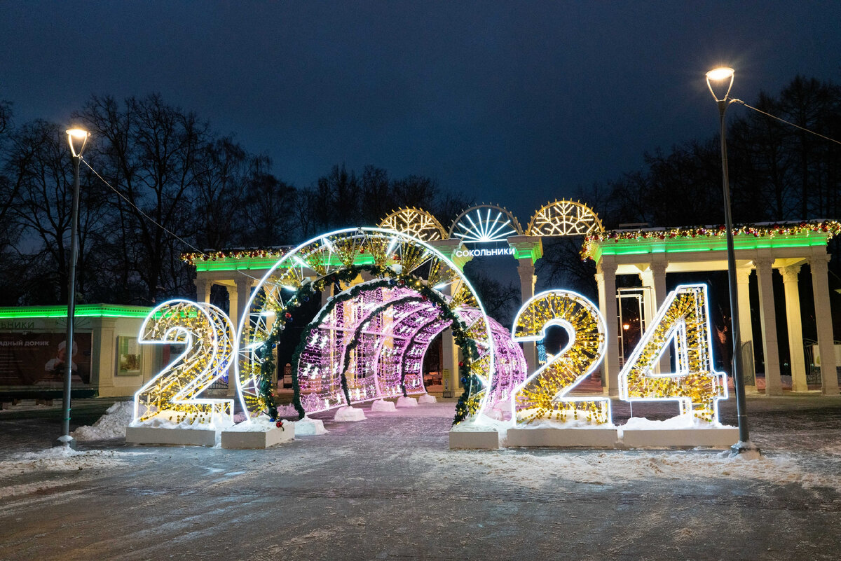 Проект Сокольников 2024. Зелёный тоннель в Сокольниках 2024.