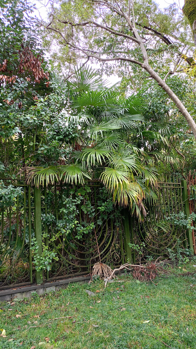 Серый понедельник. Не было ни дождя ни солнца | Вот такая я ...