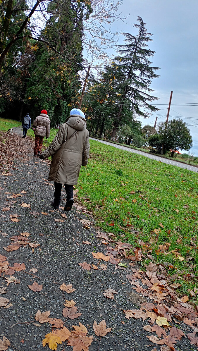 Серый понедельник. Не было ни дождя ни солнца | Вот такая я ...